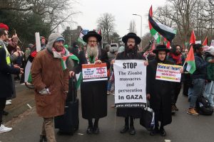 demonstrating outside the Peace Palace in The Hague in support of the case against the Israeli genocide in Gaza